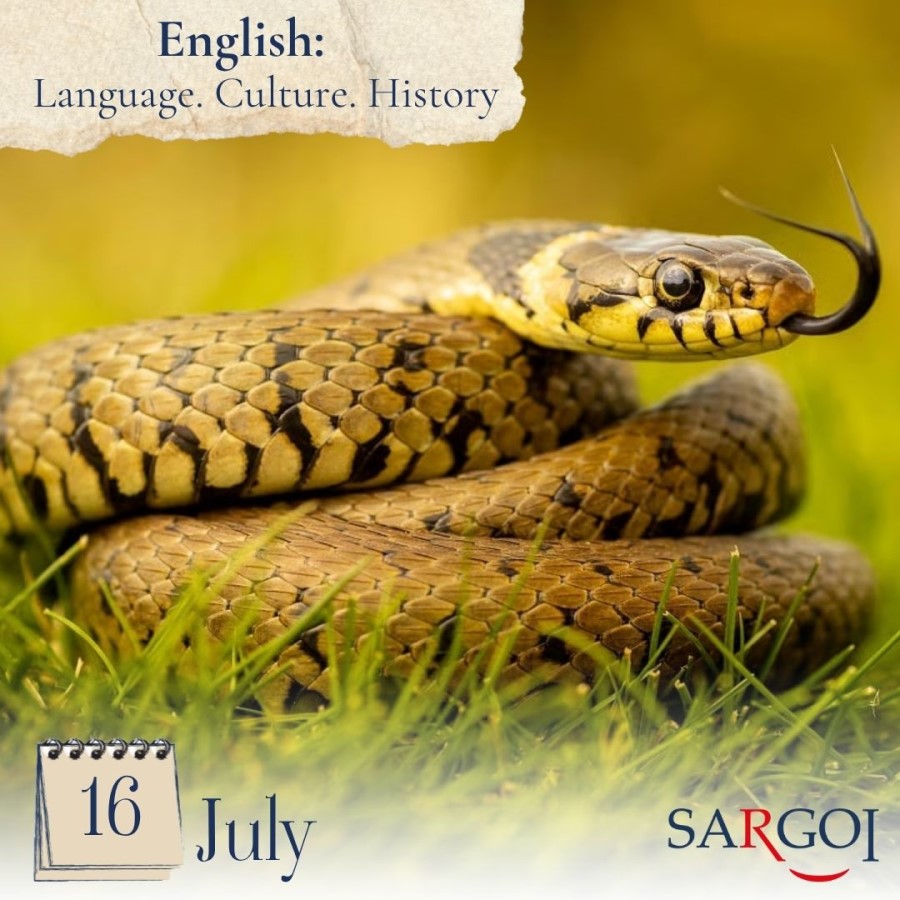World Snake Day